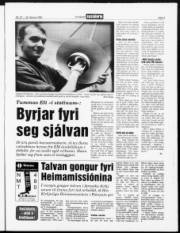 Síða 3