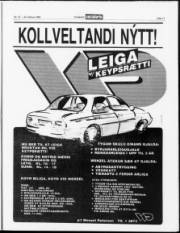 Síða 11