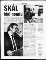 Síða 12