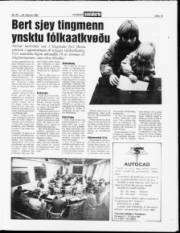 Síða 13