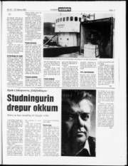 Síða 17