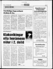 Síða 19