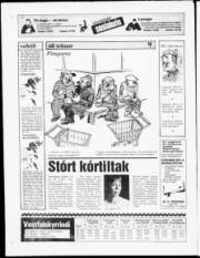 Síða 24