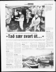 Síða 4