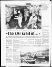 Síða 6