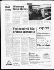 Síða 12