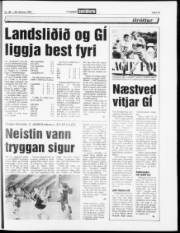 Síða 17