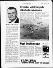 Síða 20