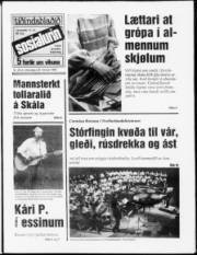 Síða 1