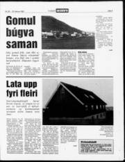 Síða 3