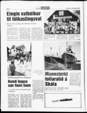 Síða 6