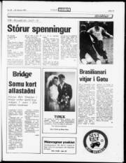 Síða 13