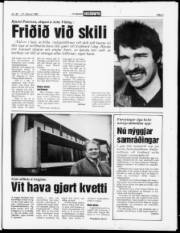 Síða 3