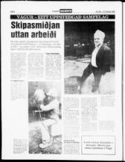 Síða 6