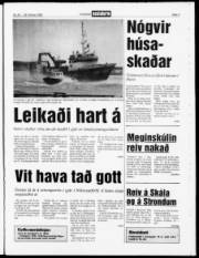 Síða 3
