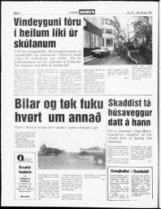 Síða 4