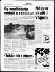 Síða 5