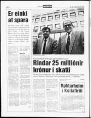 Síða 6
