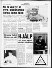 Síða 13