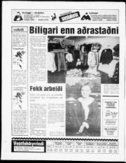 Síða 20