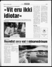 Síða 3