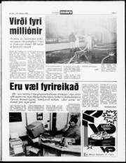 Síða 5