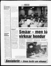 Síða 12