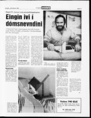 Síða 13