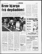 Síða 15