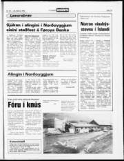 Síða 19