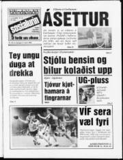 Síða 1