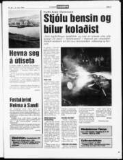 Síða 3