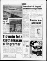 Síða 5