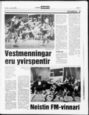 Síða 11