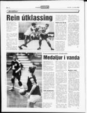 Síða 12