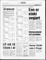 Síða 13