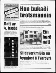 Síða 1