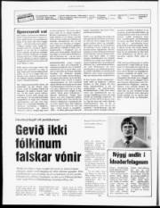 Síða 2
