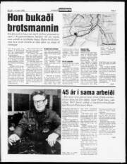 Síða 3