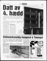 Síða 5