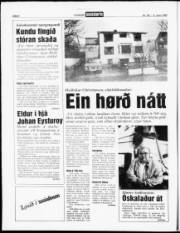 Síða 6