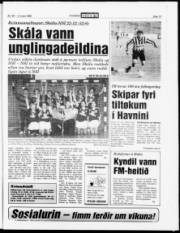 Síða 13
