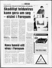 Síða 7