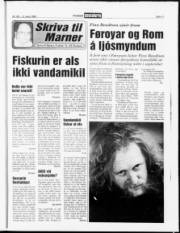 Síða 11