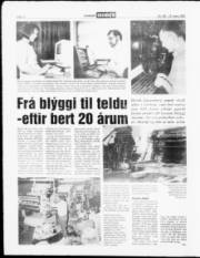 Síða 12