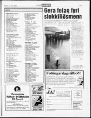 Síða 17