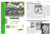 Síða 8