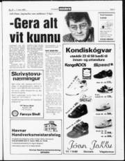 Síða 3