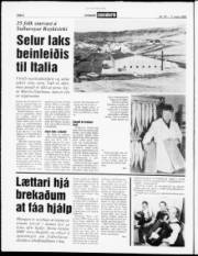Síða 6