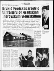 Síða 17